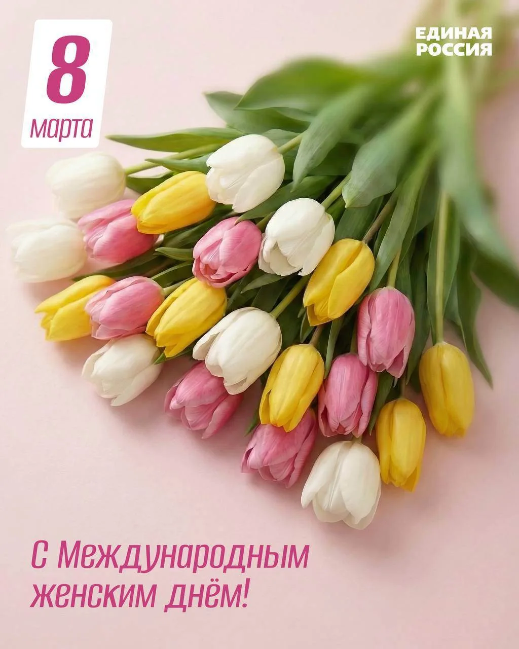 Поздравление Председателя Совета Краснодонского муниципального  округа Владимира Шавлая с Международным женским днём.