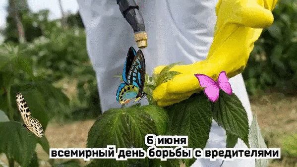 Всемирный день борьбы с вредителями.